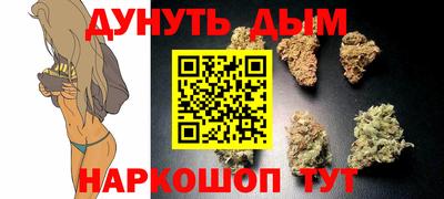 СК Владивосток