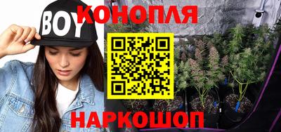 СК Владивосток