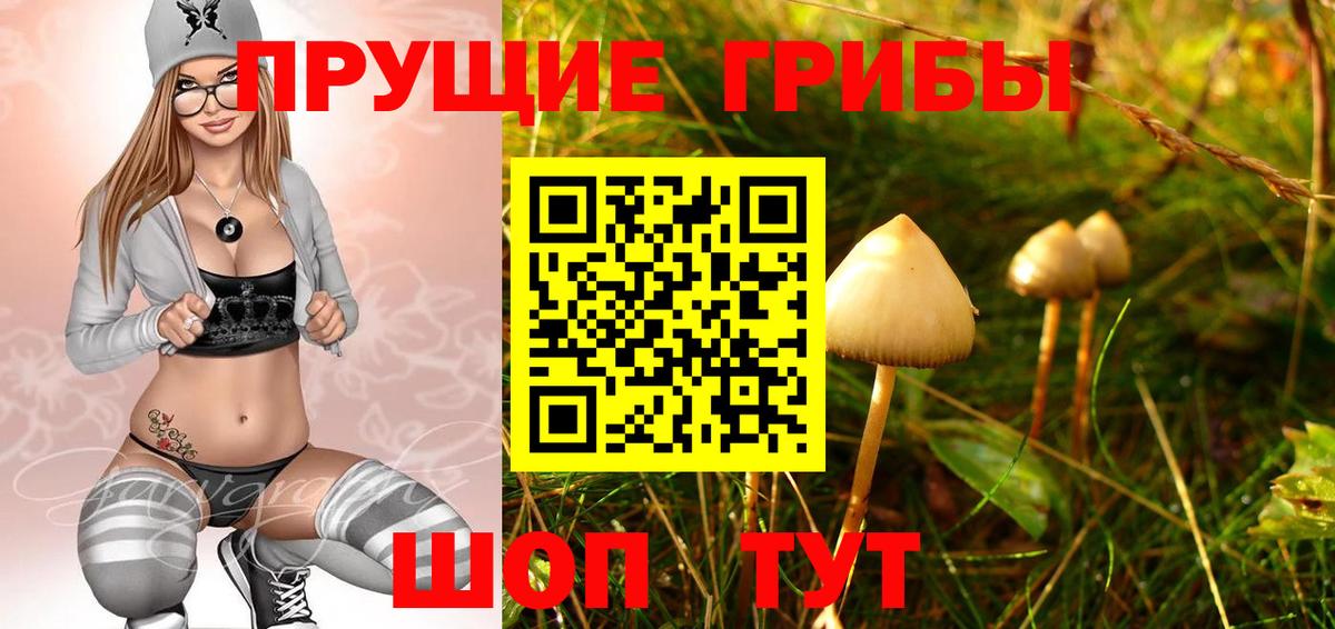 Псилоцибиновые грибы мицелий Всеволожск