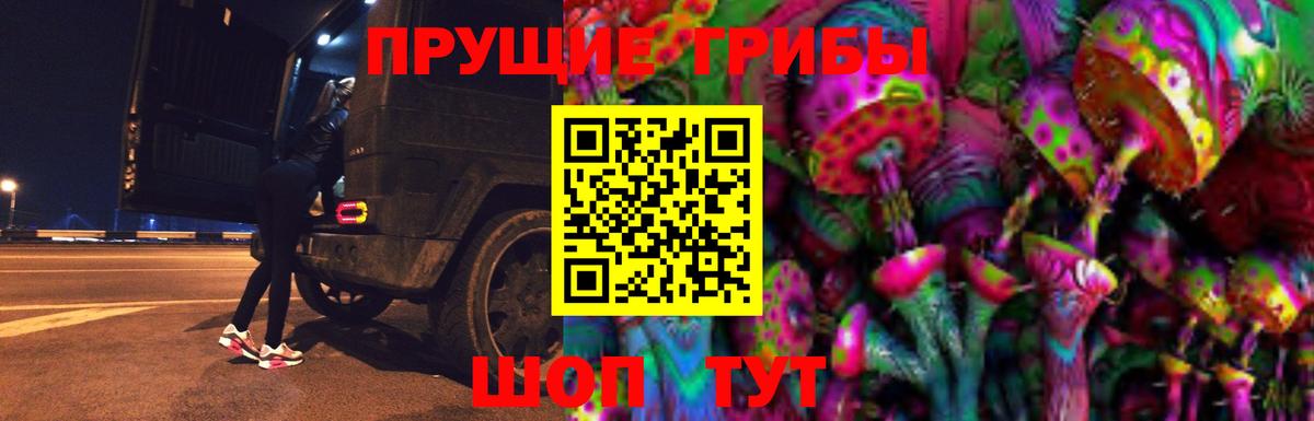 Всеволожск  Псилоцибиновые грибы Cubensis  Вход с VPN 